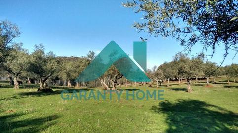 Foto 4 de Finca rústica en venda a Ruta de la Plata, Cáceres