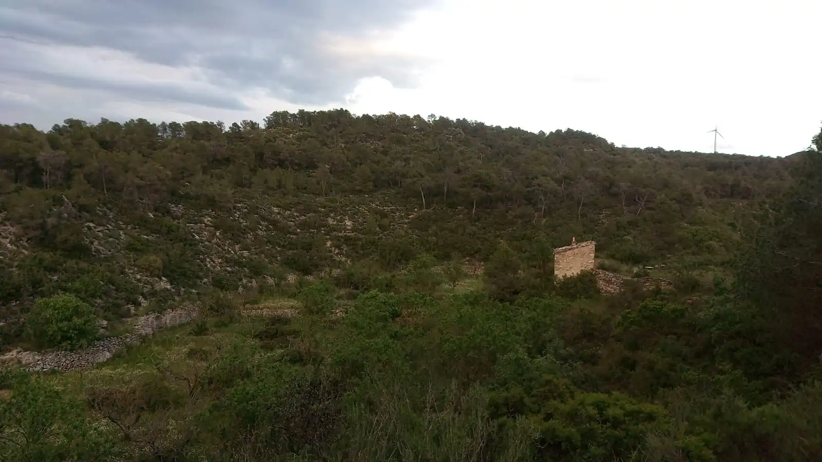 Finca rústica en venta en Vilalba dels Arcs