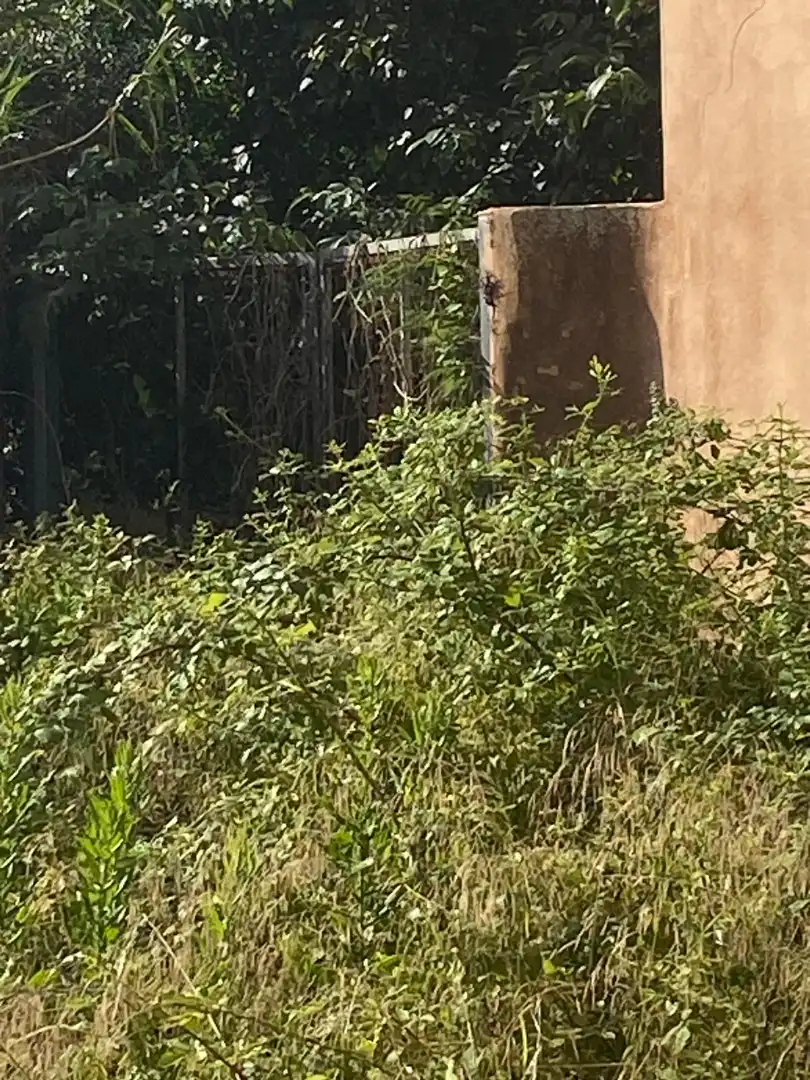 Haus oder Chalet zum Verkauf in Gandia mit Heizung, Terrasse und Möbliert