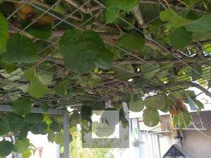 Foto 3 de Casa adosada en venda a O Hío, Pontevedra