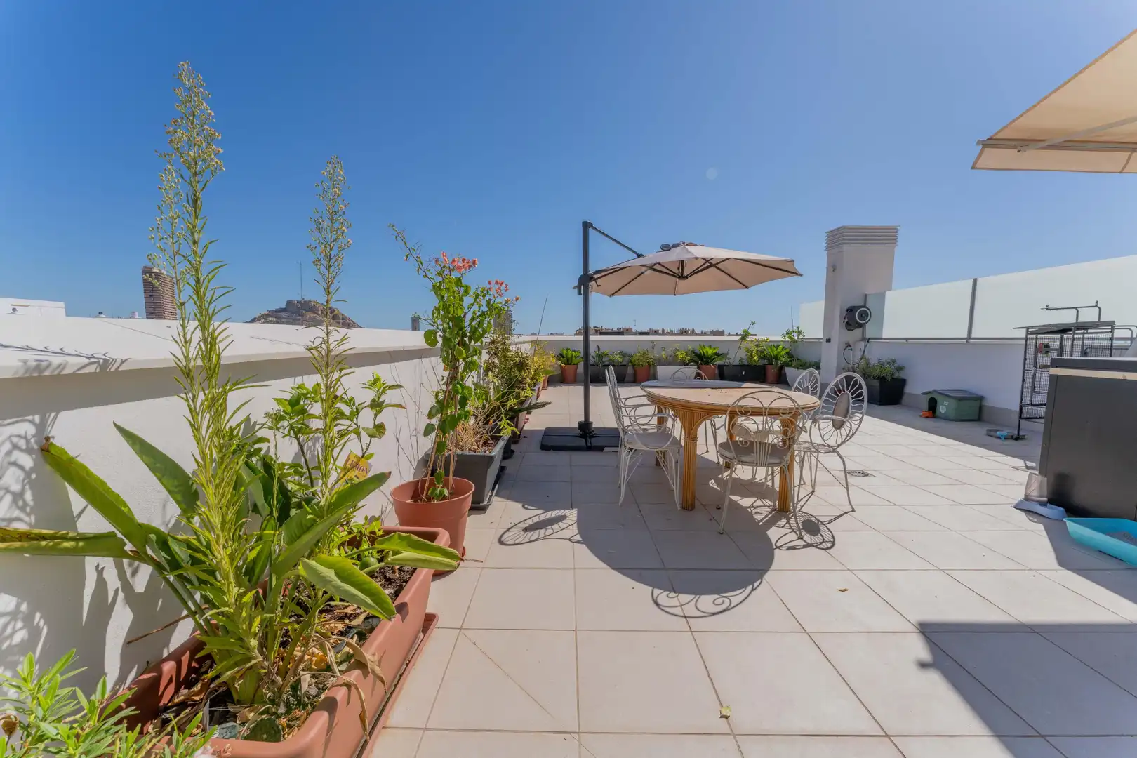 Ático con terraza en venta en Benalúa - Babel, imagen 30