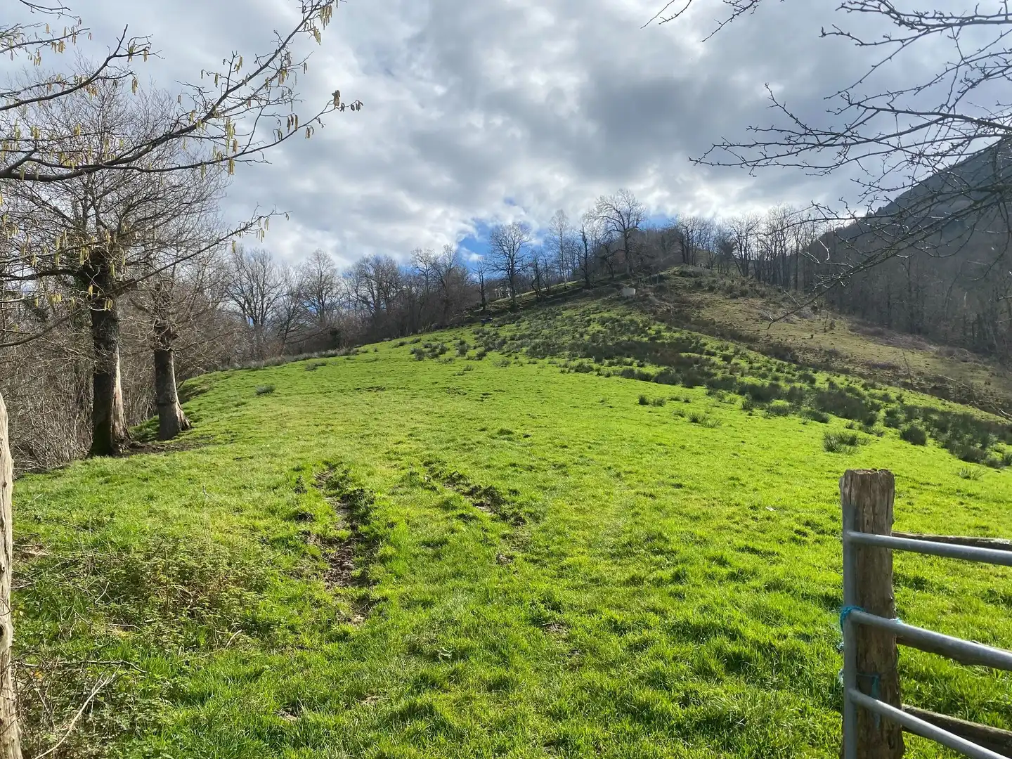Rural land for sale in Onís, imagen 4
