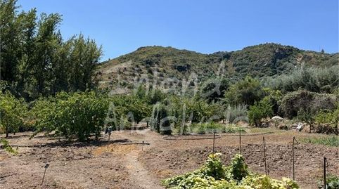 Foto 5 de Finca rústica en venda a Castillo de Locubín, Jaén
