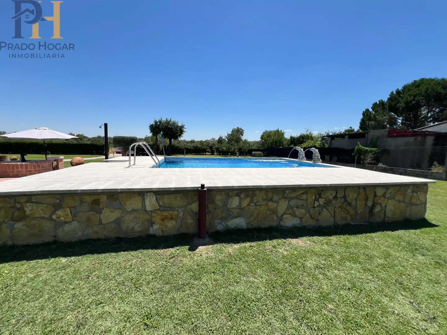 Swimming pool of Houses for sale in Pepino