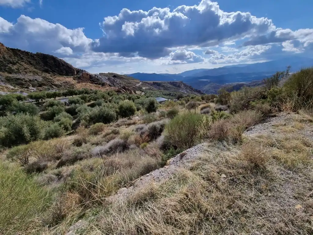 Terreni e lotti in vendita a Nevada, imagen 24
