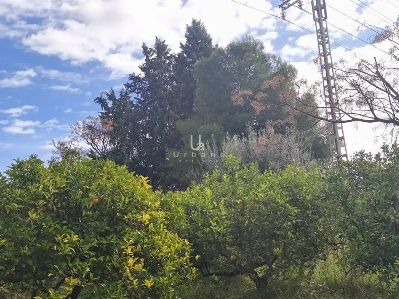 Finca rústica en venta en Murcia con Terraza
