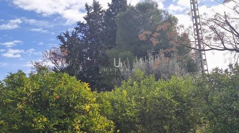 Foto 4 de Finca rústica en venta en Albatalia, Murcia Capital