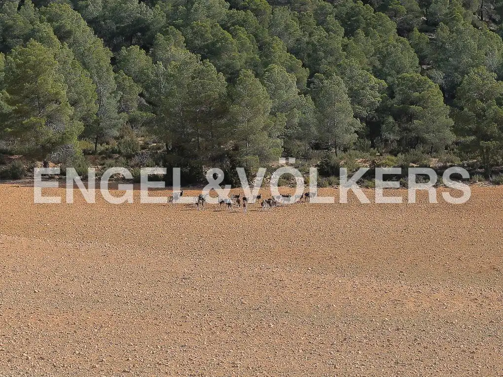 Finca rústica en venda en Ayora amb Jardí privat, Parquet i Terrassa