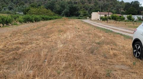 Foto 4 de Terreny en venda a Plaça Església, 8, Ascó, Tarragona