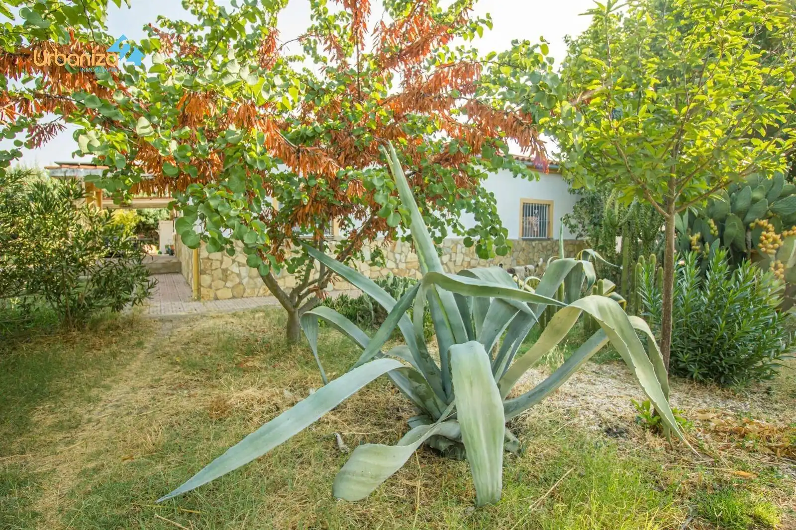 Jardín de Casa o chalet en venta en Badajoz con Calefacción, Jardín privado y Terraza