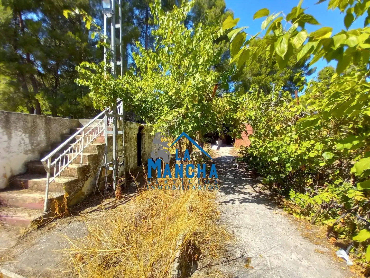 Finca rústica en venda en Albacete amb Jardí privat, Terrassa i Traster