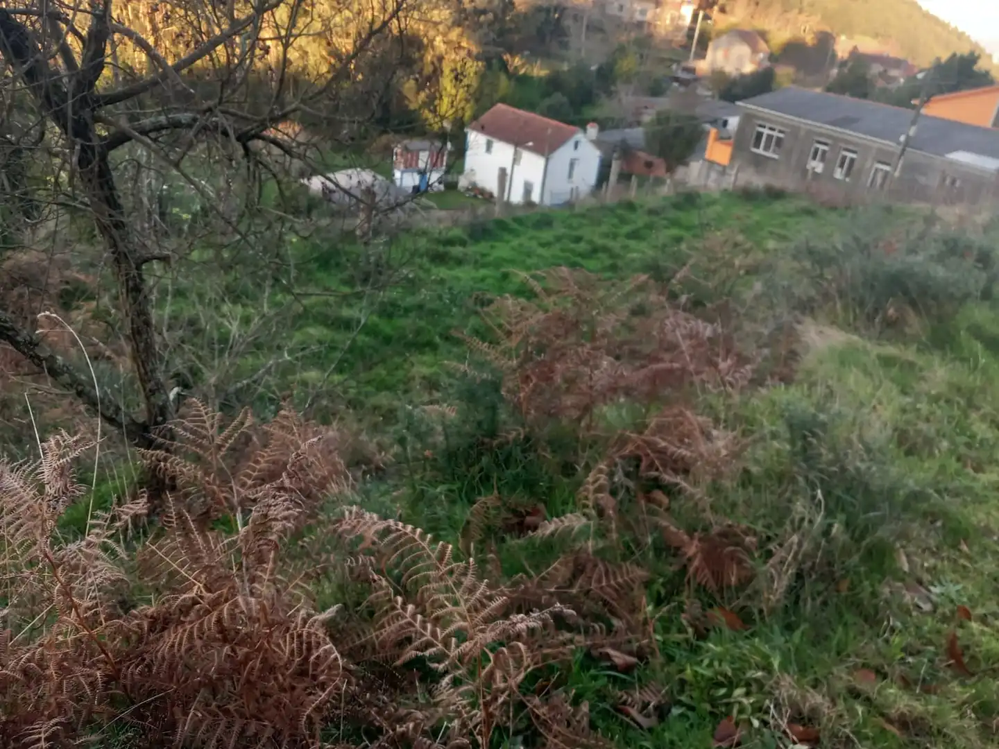 Terreno residenziale in vendita a Área Rural, imagen 3