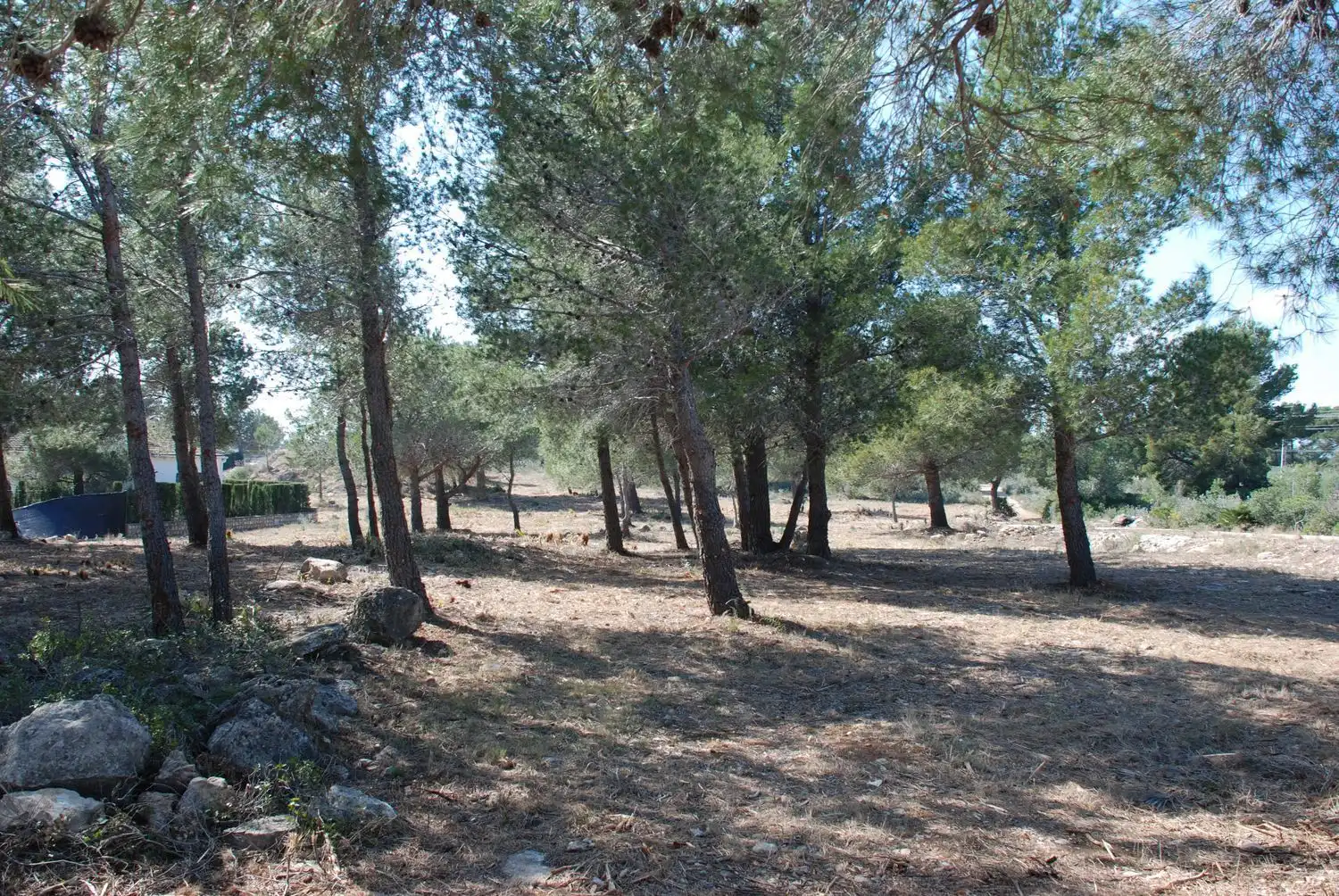Terreno en venta en L'Ametlla de Mar 