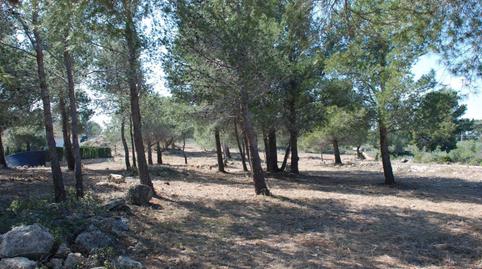 Photo 5 of Land for sale in  Calafat, Calafat, Tarragona