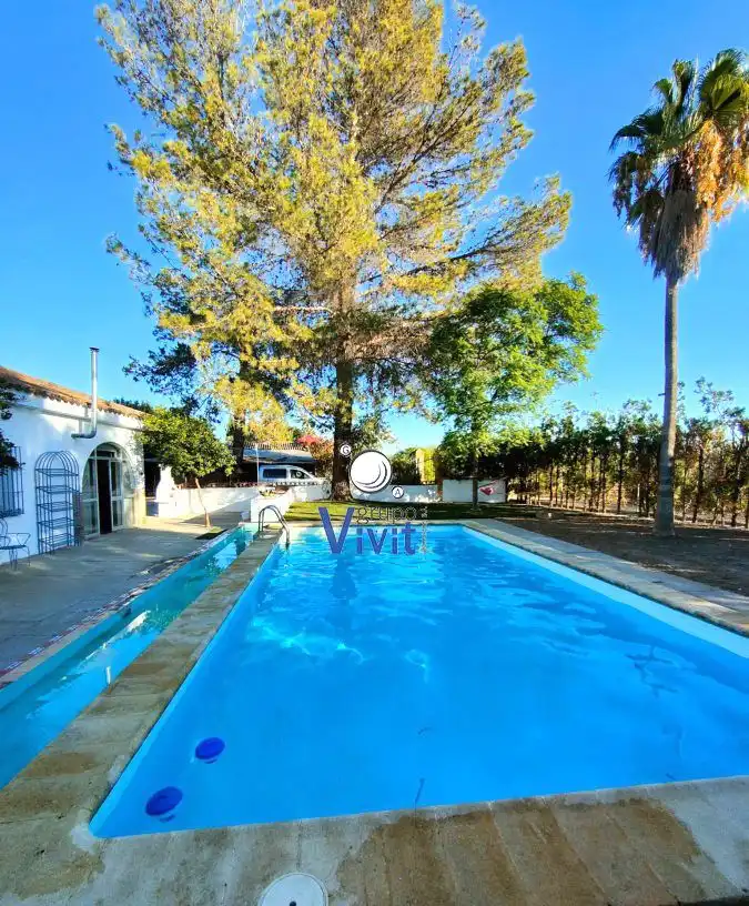 Piscina de Casa o chalet en venta en Carmona con Terraza y Trastero