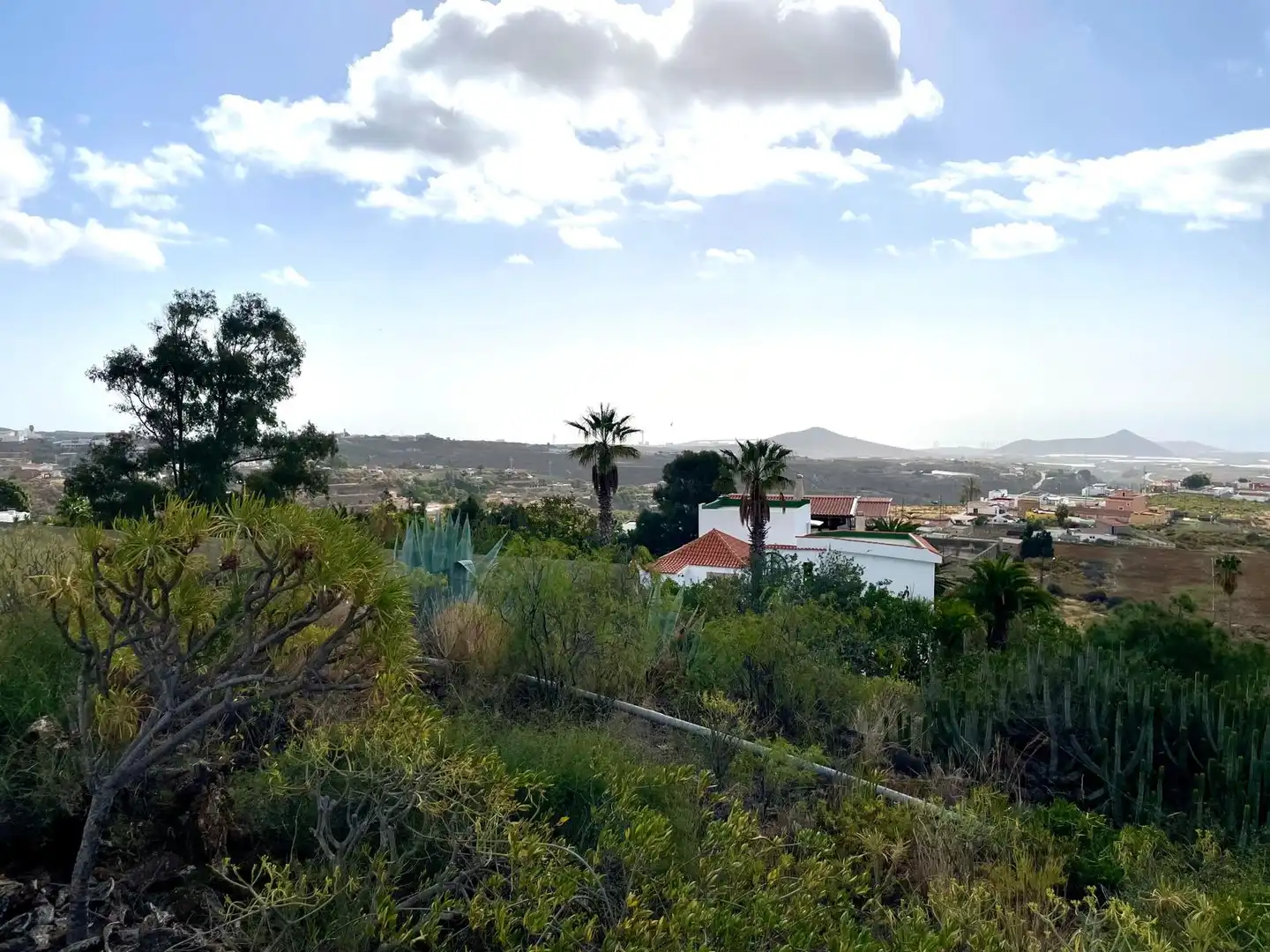 Exterior view of Houses for sale in Granadilla de Abona  with Private garden, Terrace and Swimming Pool