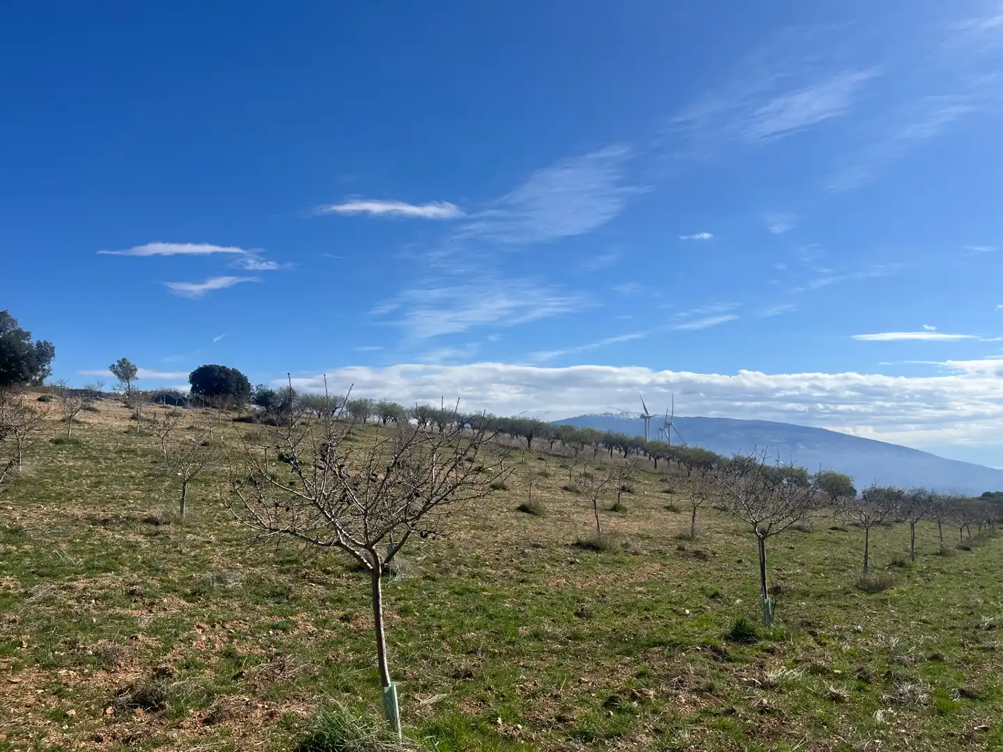Rustikales Grundstück zum Verkauf in Camino de la Sierra, imagen 13