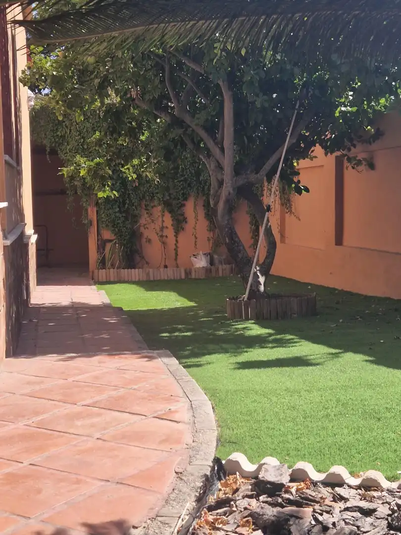 Xalet amb jardí en venda a El Juncal - Vallealto, imagen 20