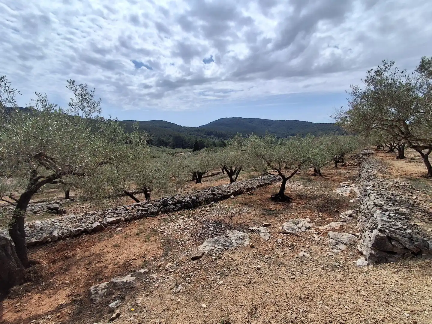 Terreno rustico in vendita a El Perelló, imagen 69