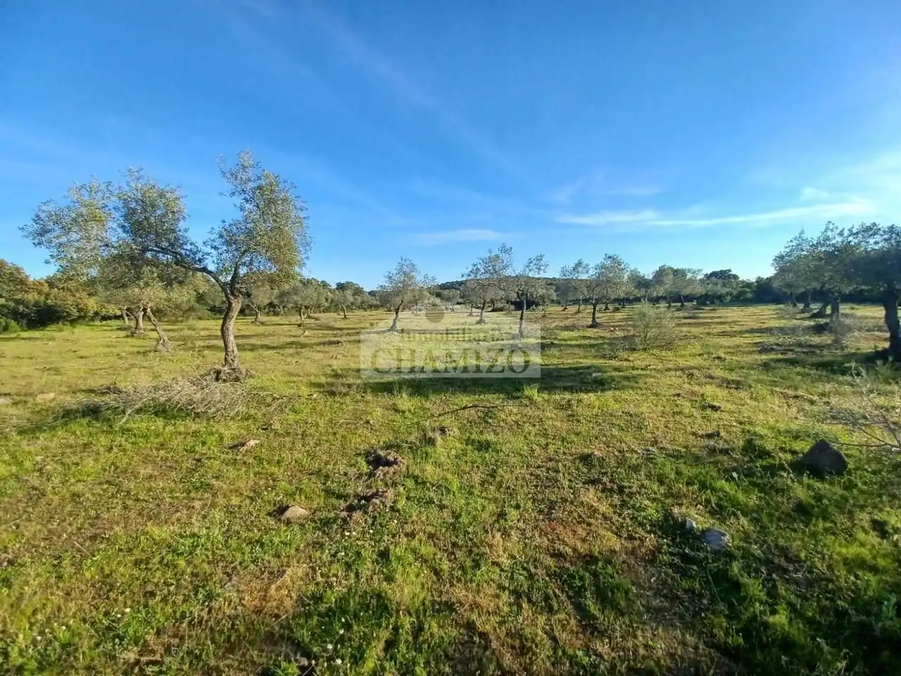 Grundstücke zum Verkauf in Peraleda del Zaucejo