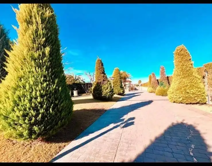 Chalet con piscina en venta en Pedanías Oeste, imagen 10