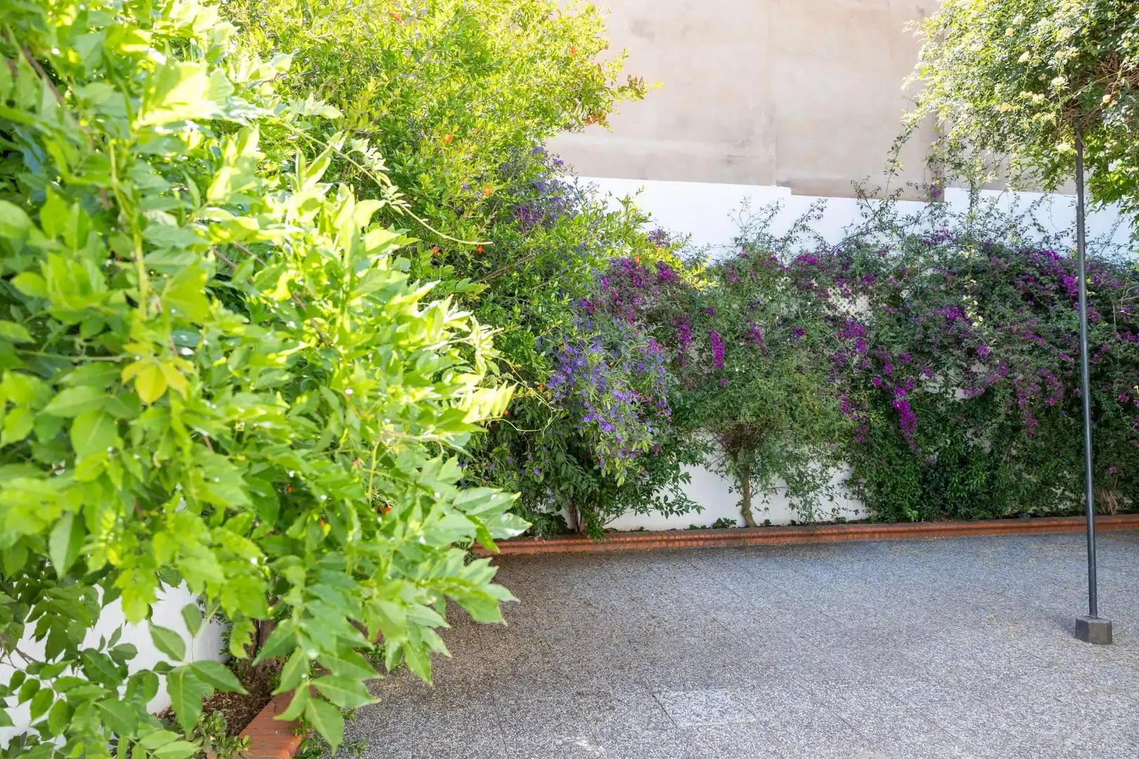 House with terrace for sale in Calle SAGASTA, imagen 90