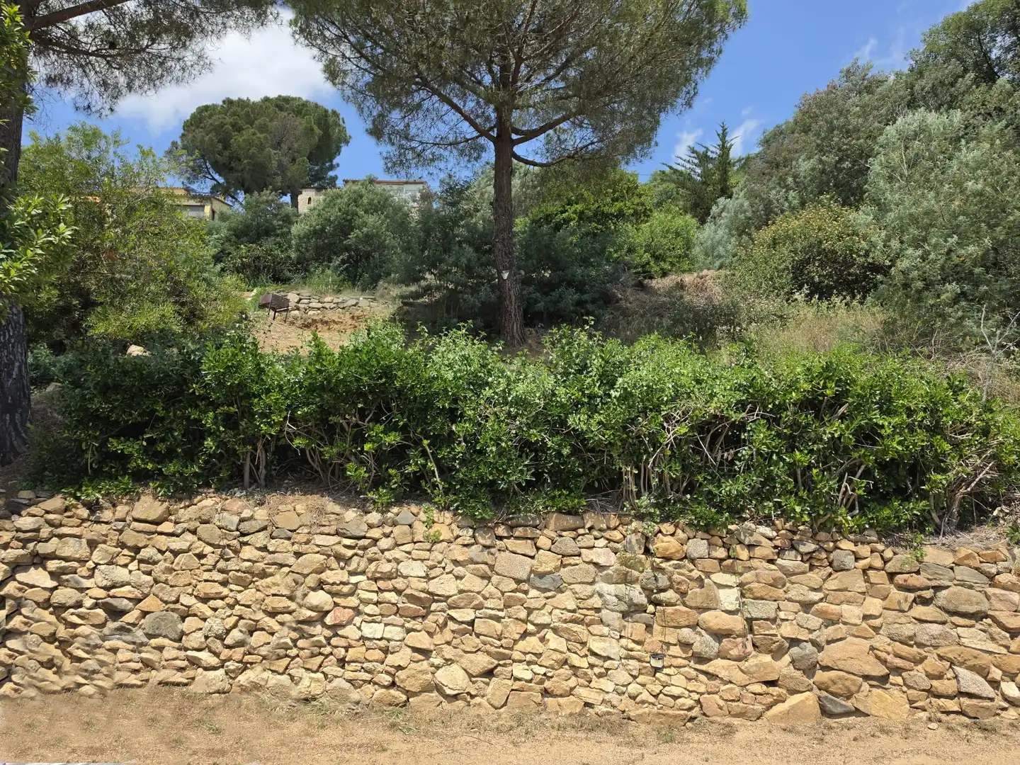 Residential land for sale in de la Selva, imagen 3