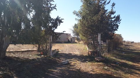 Tierra secano con edificaciones industriales. Superficie terreno 1Ha., immagine 2