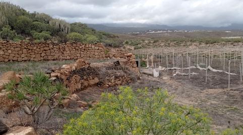 Photo 2 of Land for sale in Chimiche, Granadilla de Abona