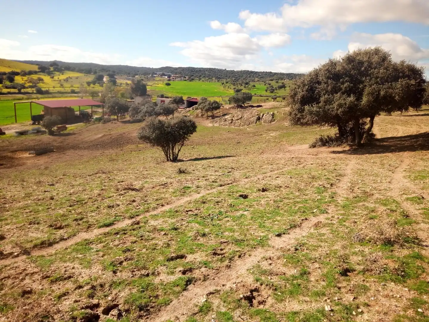 Terreni e lotti in vendita a Oropesa, imagen 20