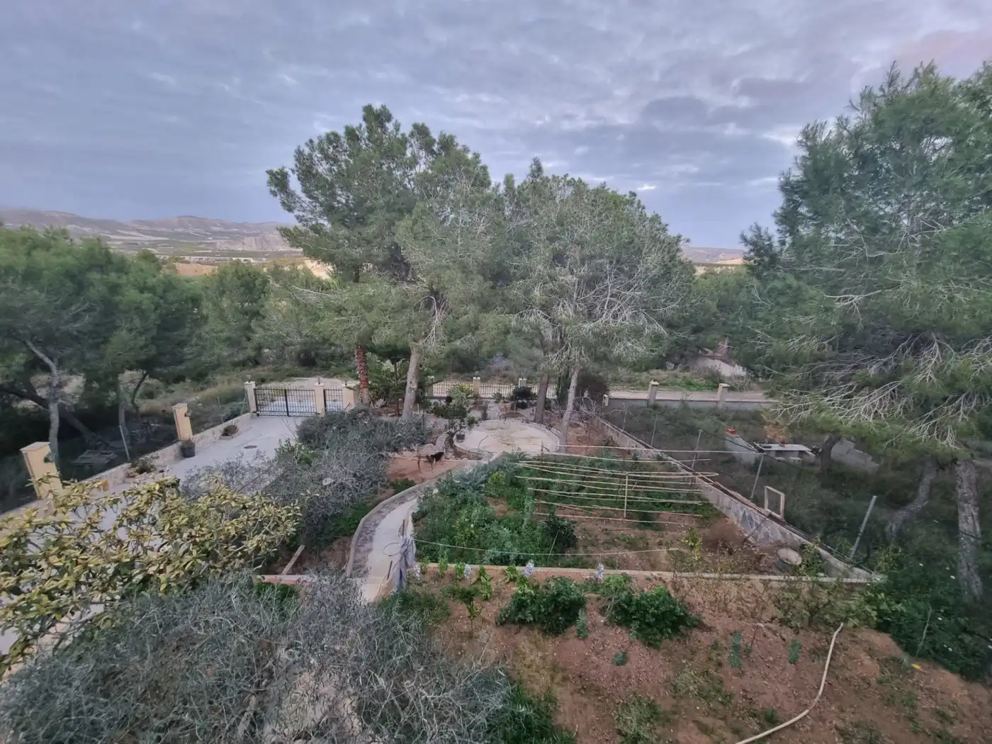 Houses for sale in La Catedral