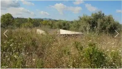 Rural land for sale in Els Guiamets, imagen 4