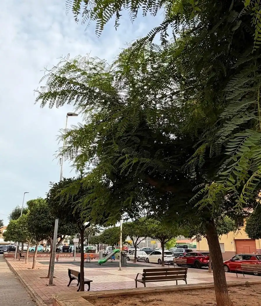 Appartement avec terrasse à vendre à Piscinas, imagen 21