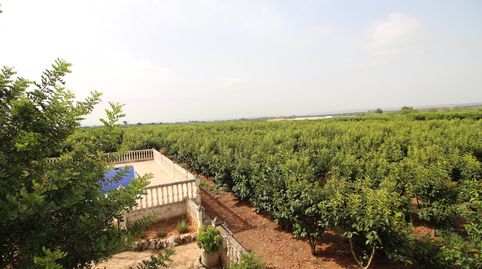 Chalet en Benimodo, imagen 2