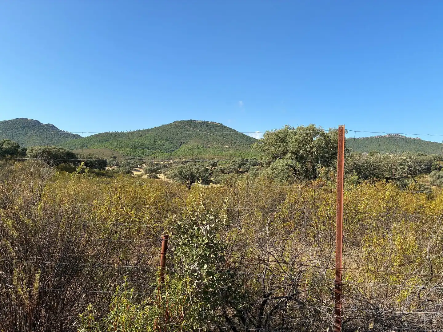 Rural land for sale in Puerto de San Vicente, imagen 17