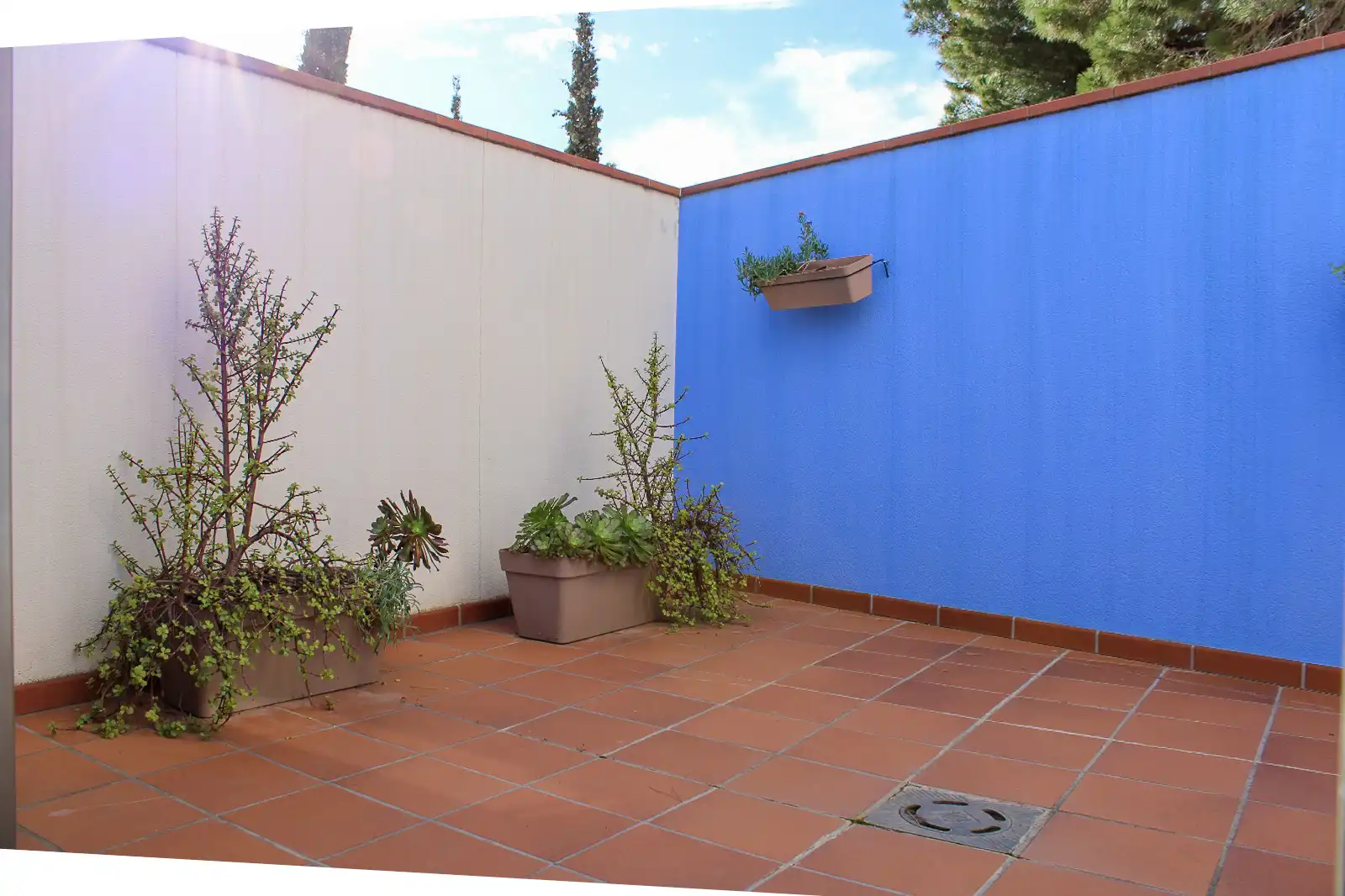 Jardí de Casa adosada en venda en L'Escala amb Aire condicionat, Calefacció i Jardí privat