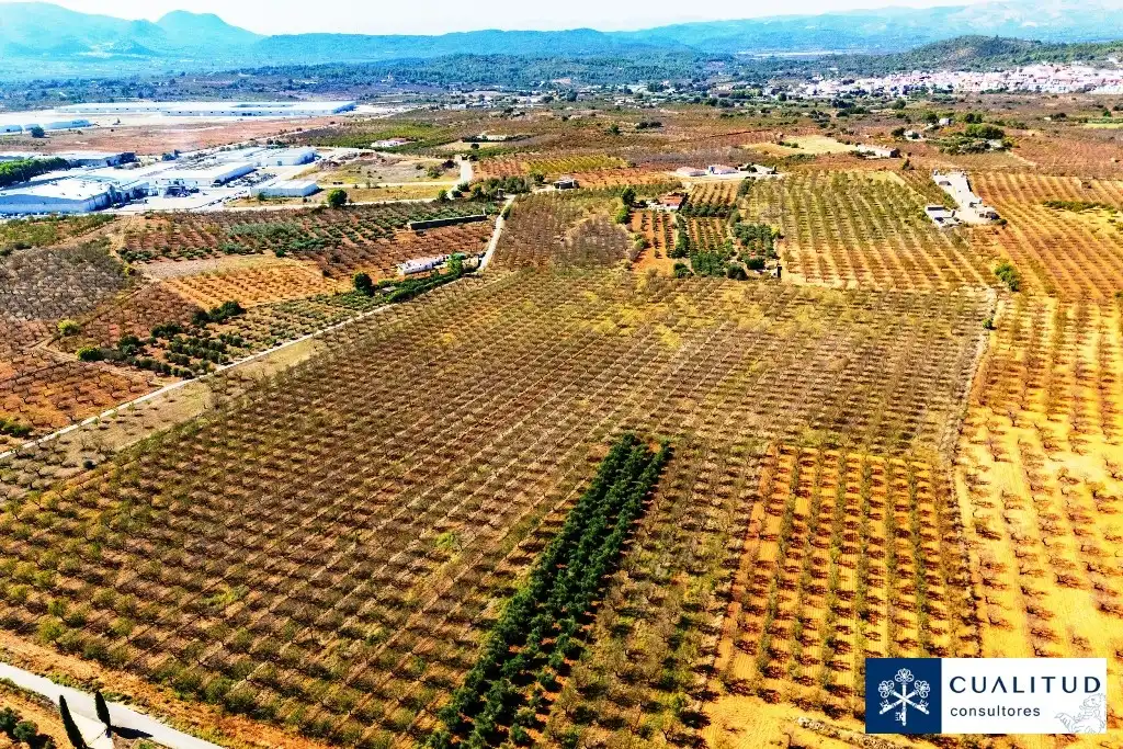 Terreny rústic en venda a Vall d'Alba, imagen 16