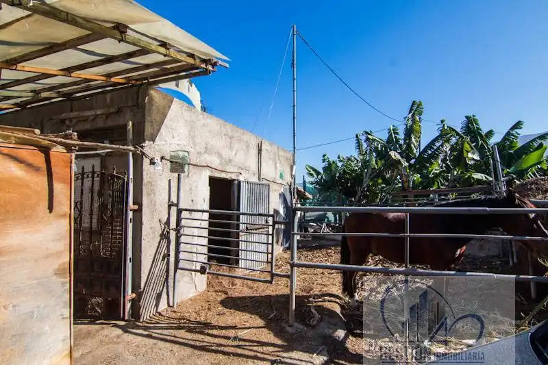 Vista exterior de Finca rústica en venta en Puerto de la Cruz