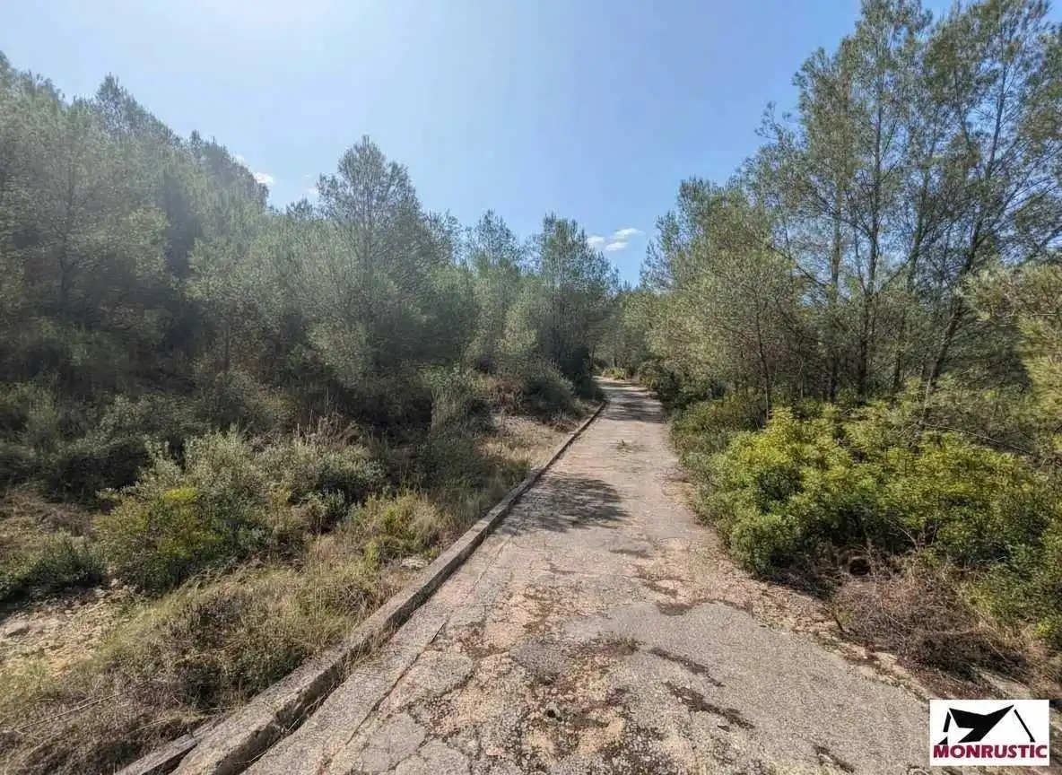 Finca rústica en venda en Masllorenç