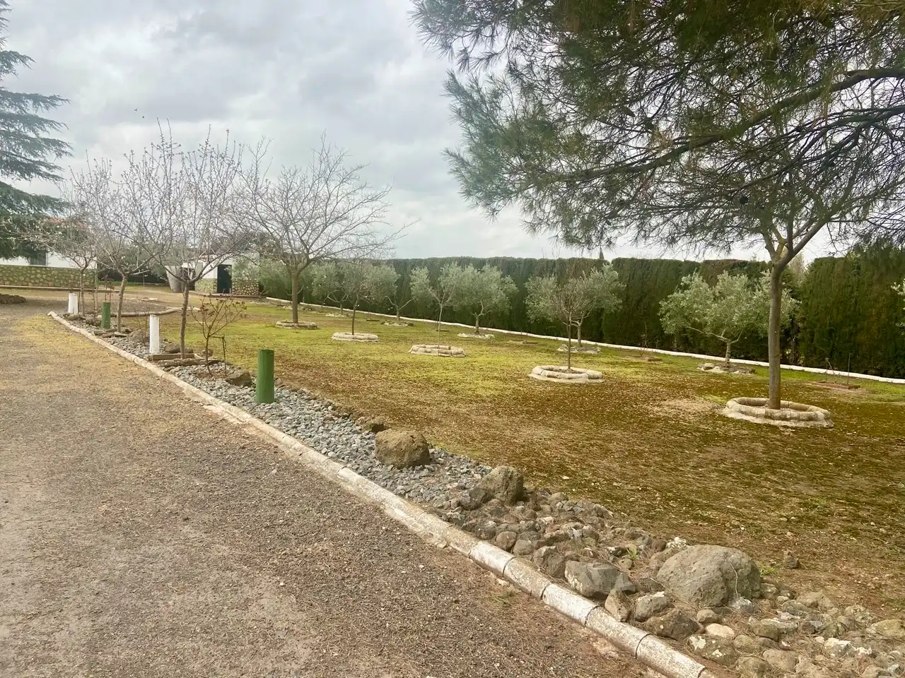 Casa o xalet en venda en Ciudad Real amb Calefacció, Jardí privat i Traster