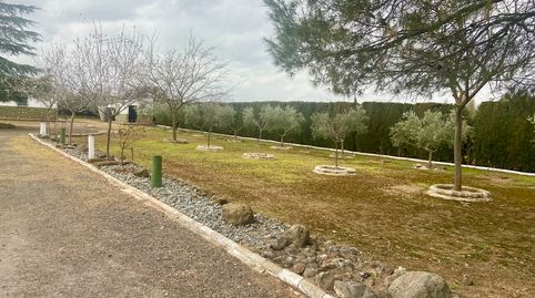 Foto 4 de Casa o xalet en venda a Calle Poblado Vicario, Área Rural-Valverde-Las Casas, Ciudad Real Capital