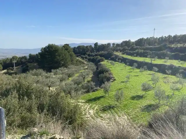 Lands and plots for sale in Mula, imagen 3