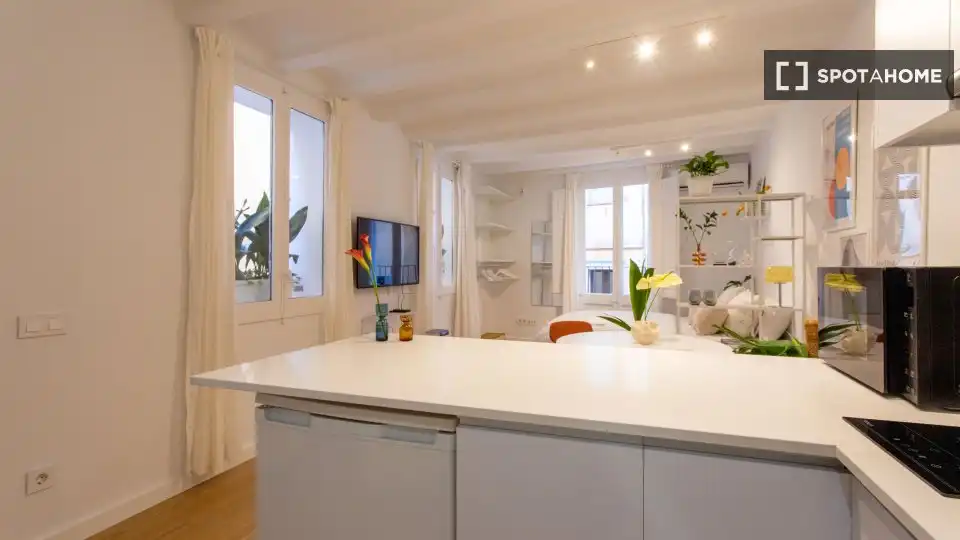 Flat with terrace to rent in Ciutat Vella, imagen 5