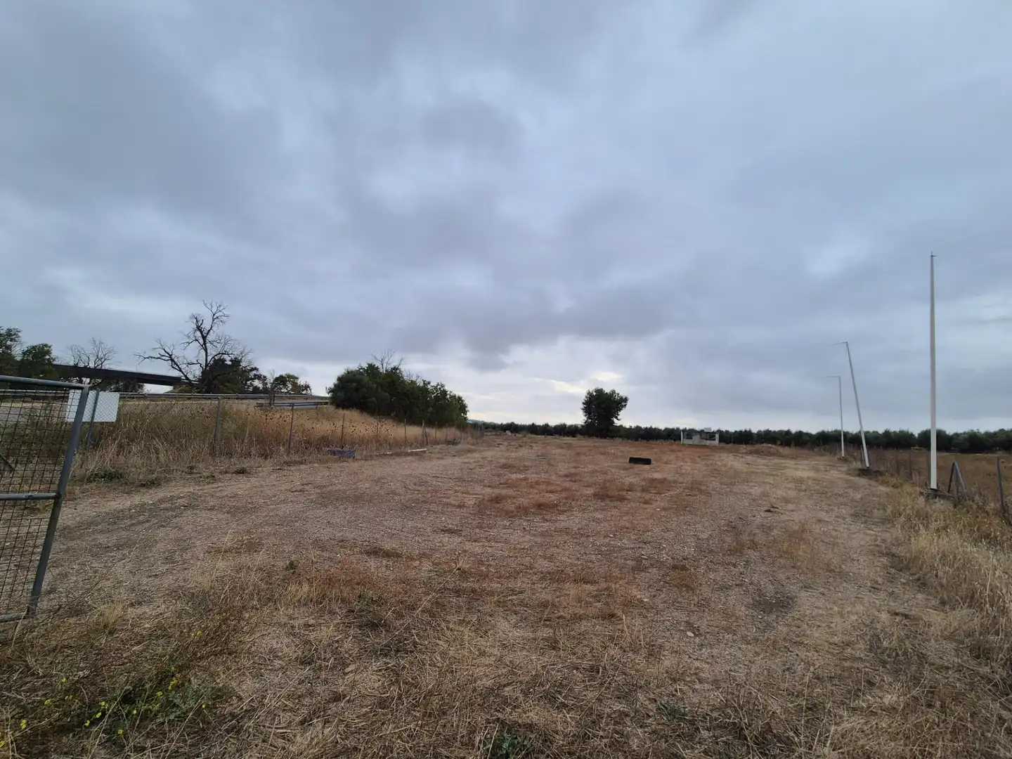 Terreny rústic en venda a El Carpio, imagen 2