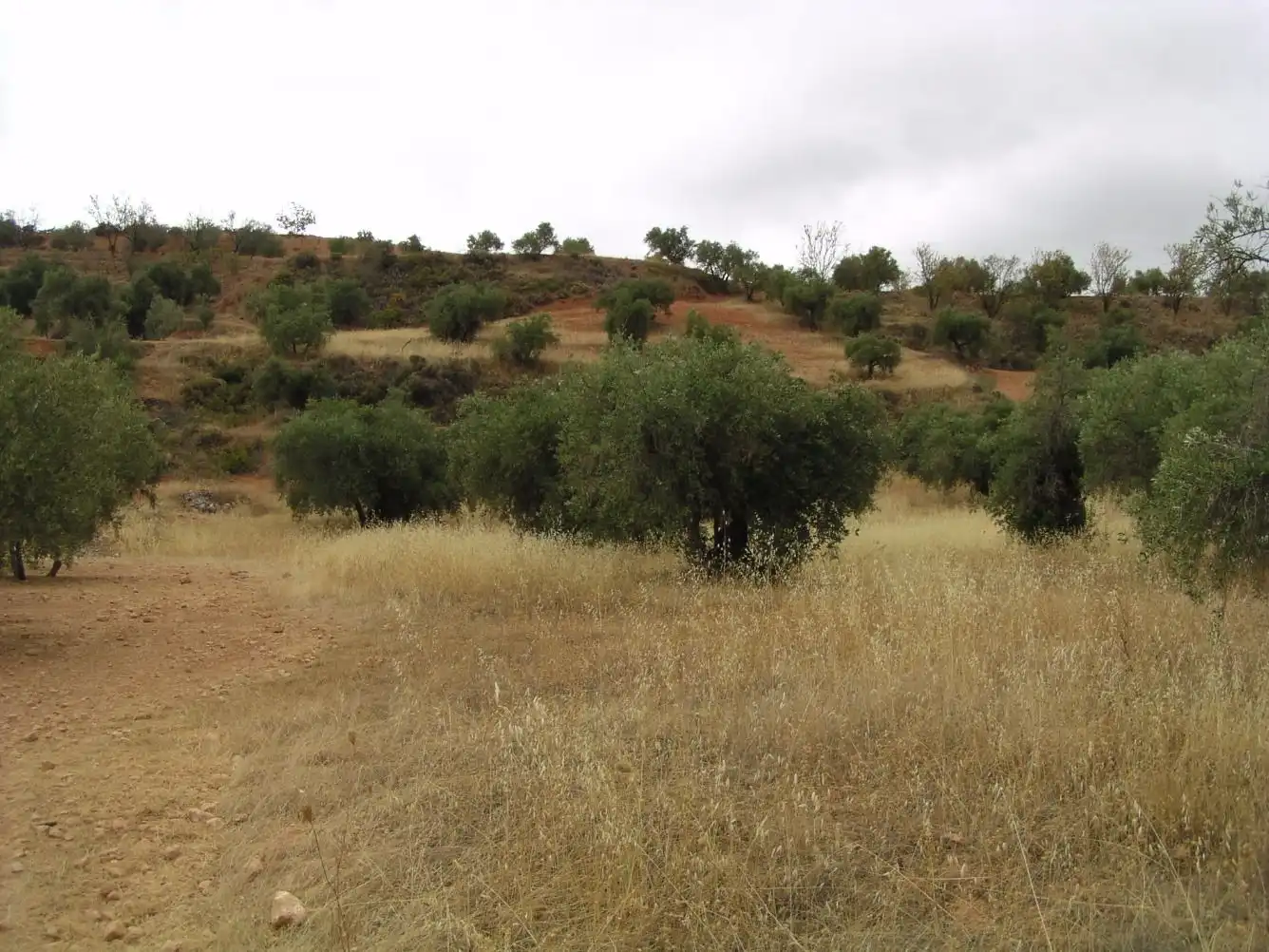 Terreno en venta en Paseo Peńon de la Mata, Cogollos de la Vega