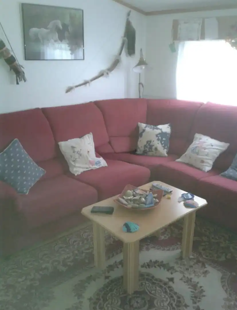 Sala d'estar de Casa o xalet en venda en Covarrubias amb Moblat, Forn i Rentadora