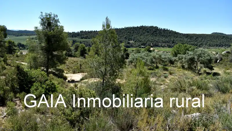 Finca rústica en venda en Batea