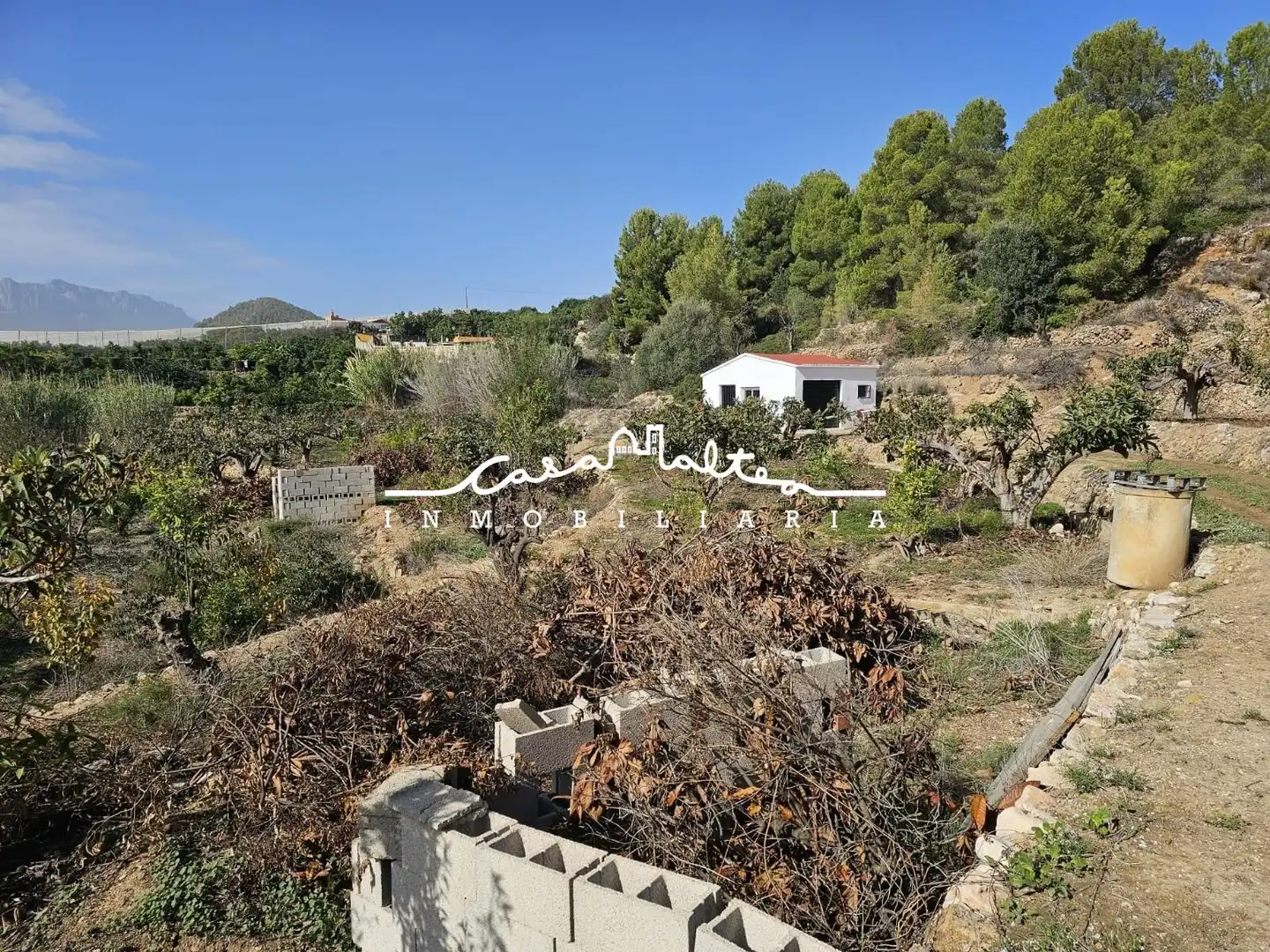 Casa rústica con jardín en venta en Callosa d'en Sarrià, imagen 4