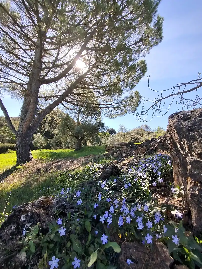 Country house zum Verkauf in Ronda mit Klimaanlage und Terrasse