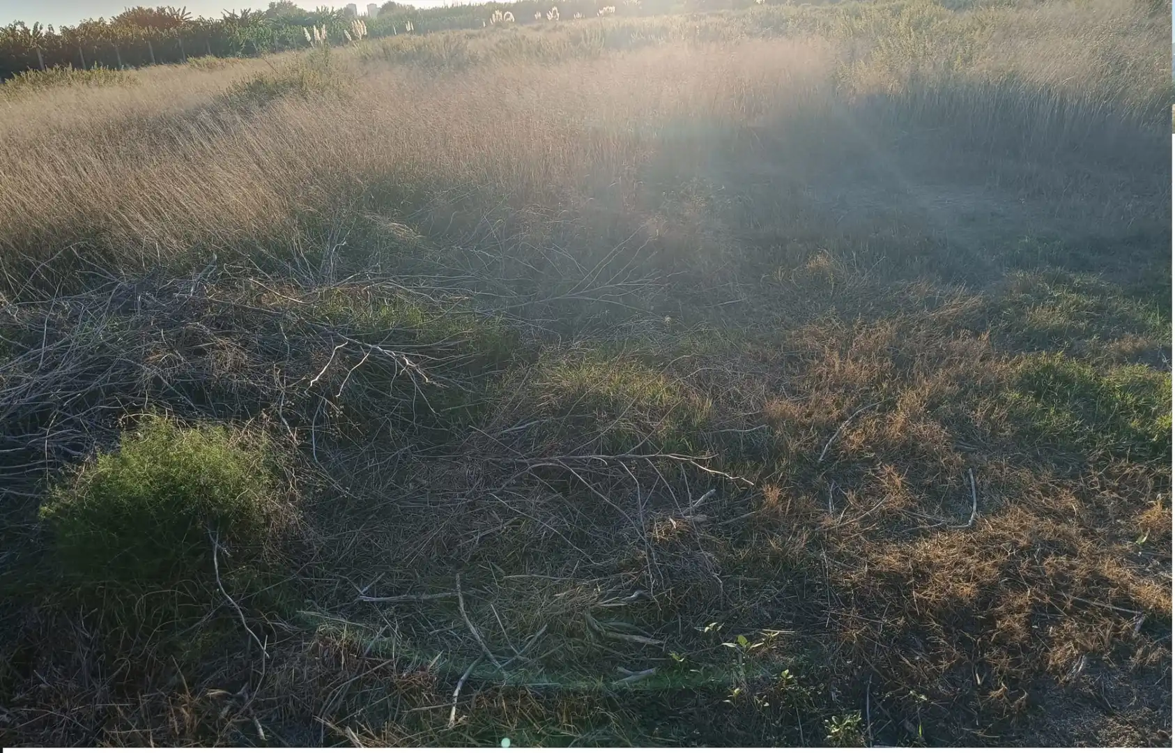 Terreni e lotti in vendita a Centro